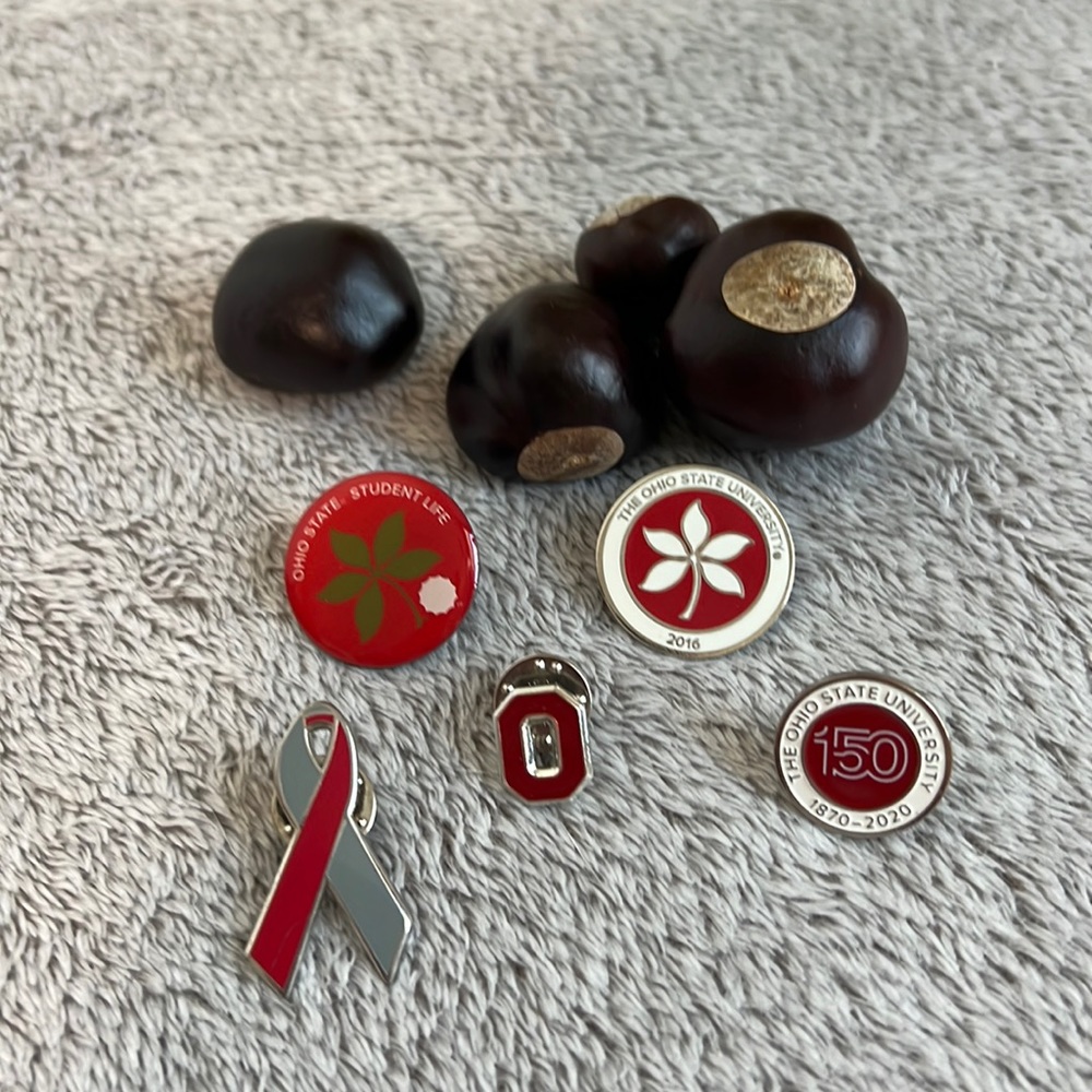 Ohio State five pin collection with Buckeye bracelet and buckeyes